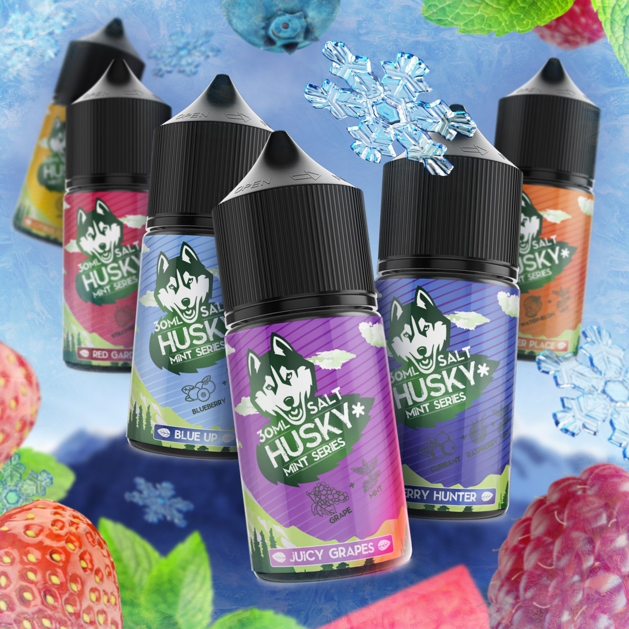 Ж_HUSKY MINT SERIES Salt (30мл) в наличии. Купить сейчас! XB store. Комсомольск-на-Амуре