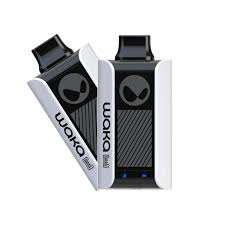 Электронная сигарета WAKA SOPRO PA (до 10 000 затяжек) в наличии. Купить сейчас! XB store. Комсомольск-на-Амуре
