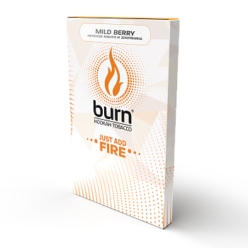 Табак для кальяна Burn Gold 100г